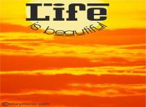 Life Is Beautiful