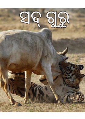 ସଦ୍ ଗୁରୁ