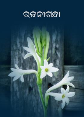 ରଜନୀଗନ୍ଧା