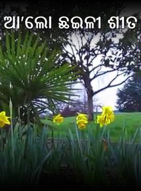 ଆ'ଲୋ ଛଇଳୀ ଶୀତ