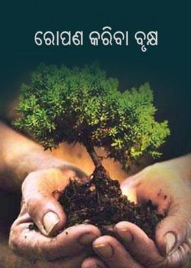 ରୋପଣ କରିବା ବୃକ୍ଷ