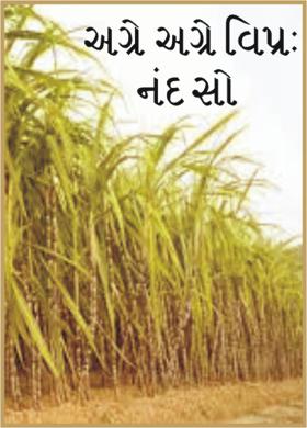 અગ્રે અગ્રે વિપ્રઃ  નંદ   સો