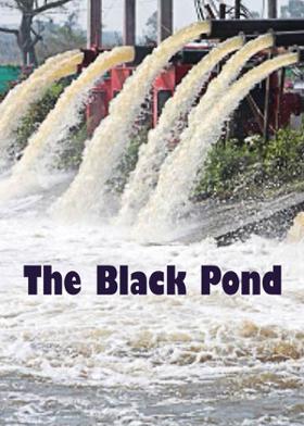 The Black Pond