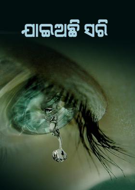 ଯାଇଅଛି ସରି