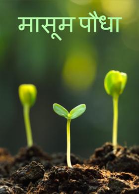 मासूम पौधा