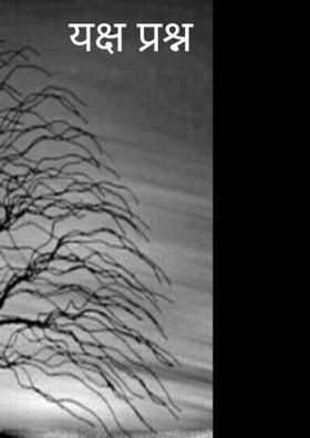 यक्ष प्रश्न