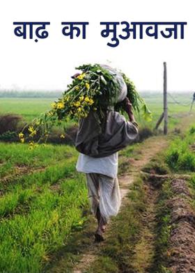 बाढ़ का मुआवजा