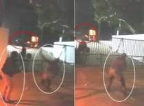 असहिष्णुता