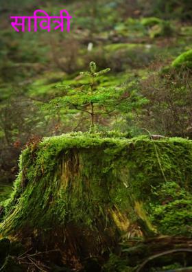 सावित्री