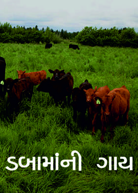 ડબામાંની ગાય