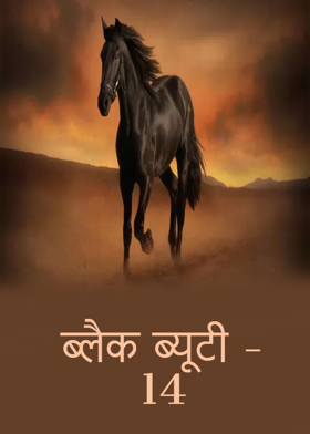 ब्लैक ब्यूटी - 14