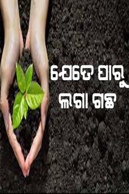ଯେତେ ପାରୁ ଲଗା ଗଛ