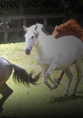 ଜୀବନ ଗୀତା-୩୭୧