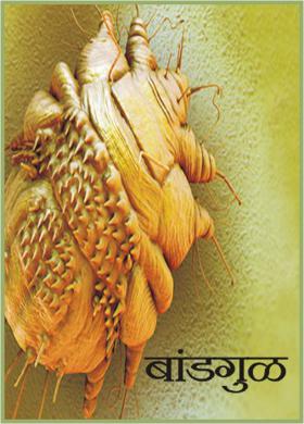 बांडगुळ