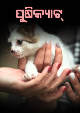 ପୁଷିକ୍ୟାଟ୍