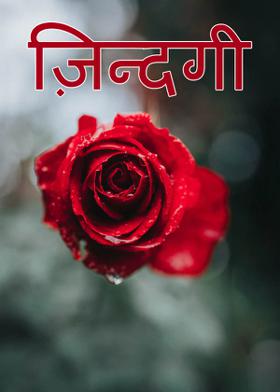 !!"ज़िन्दगी"!!