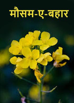 मौसम-ए-बहार