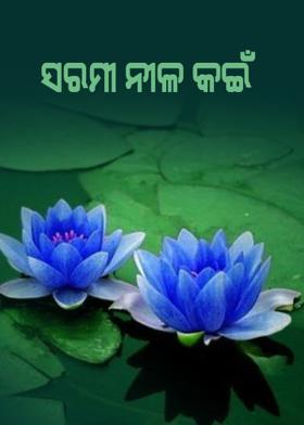ସରମୀ ନୀଳ କଇଁ