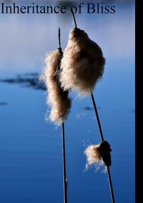 Inheritance Of Bliss