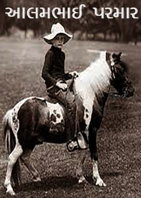 આલમભાઈ પરમાર