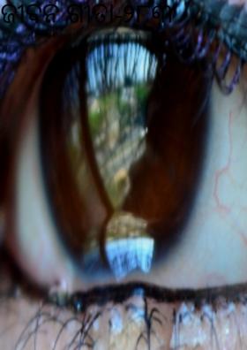 ଜୀବନ ଗୀତା-୨୮୩