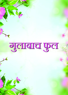 गुलाबाच फुल