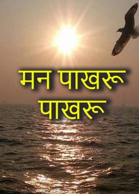 मन पाखरू पाखरू