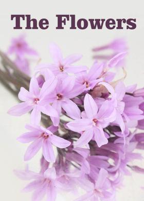 The Flowers