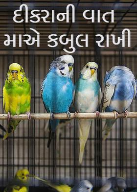 દીકરાની વાત માએ કબુલ રાખી