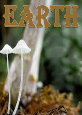 Earth