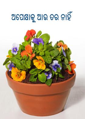 ଅପେକ୍ଷାକୁ ଆଉ ତର ନାହିଁ