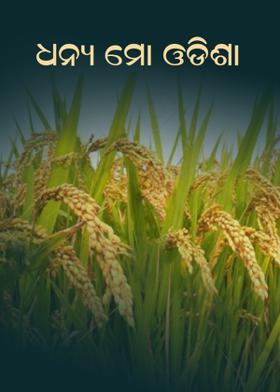 ଧନ୍ୟ ମୋ ଓଡିଶା