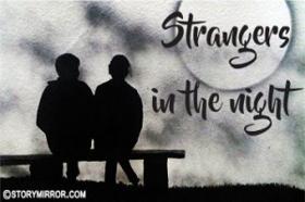 Strangers In The Night