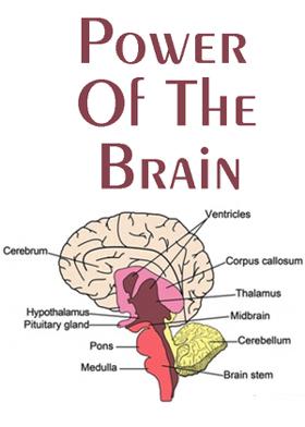 Power Of The Brain