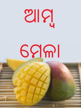 ଆମ୍ବ ମେଳା