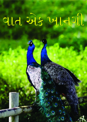 વાત એક ખાનગી