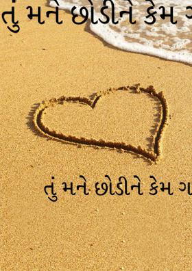 તું મને છોડીને કેમ ગયો ?