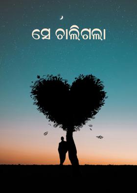 ସେ ଚାଲିଗଲା