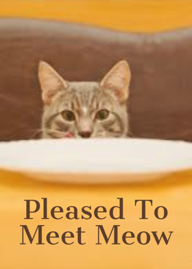 Pleased To Meet Meow