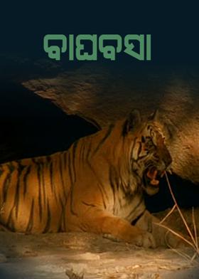 ବାଘବସା