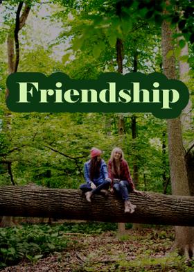 Friendship