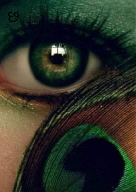 મોરપીંછ