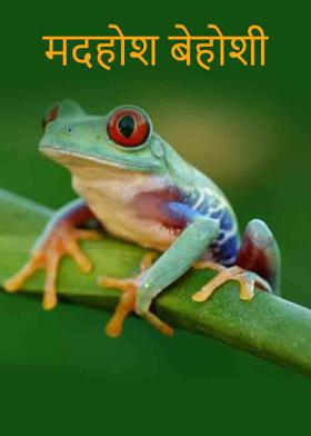 मदहोश बेहोशी