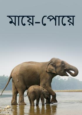 মায়ে-পোয়ে