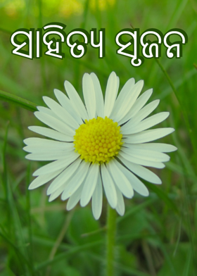 ସାହିତ୍ୟ ସୃଜନ