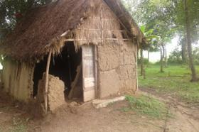 ପଲଥିନ ତଳର ଜୀବନ