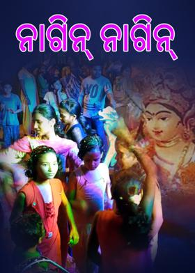 ନାଗିନ୍ ନାଗିନ୍