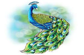  बुजी और पाटू अंकल 