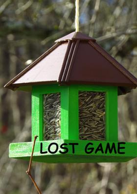 Lost Game