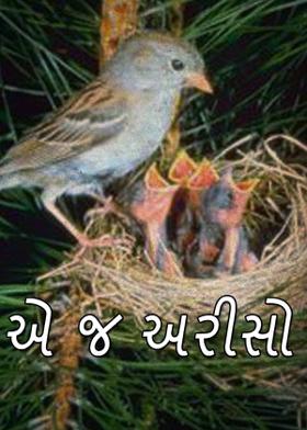 એ જ અરીસો